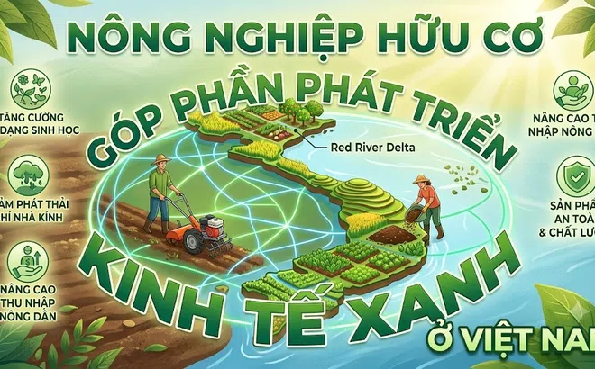 Góc nhìn văn hoá: Phát triển nông nghiệp hữu cơ, sinh thái - Kiến tạo niềm tin thị trường