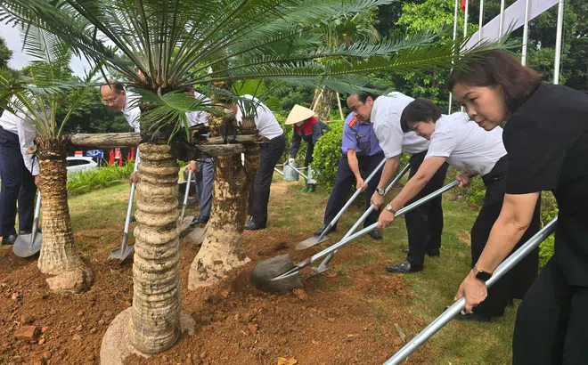 Phú Thọ: Dâng hương tưởng niệm Chủ tịch Hồ Chí Minh, phát động chương trình “Đền Hùng xanh – làm theo lời Bác”