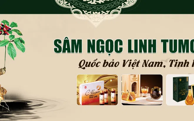 Vượt qua nỗi lo hậu covid với sâm Ngọc Linh