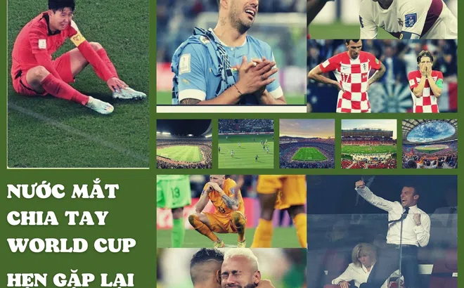 Nước mắt chia tay World Cup 2022 – Hẹn gặp lại