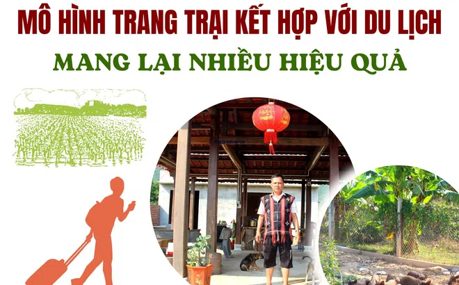 Đà Nẵng: Mô hình trang trại kết hợp với du lịch mang lại  hiệu quả