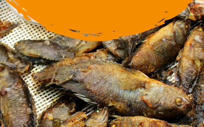 Đà Nẵng: Nỗi niềm “nước mắm Nam Ô, cá rô Xuân Thiều”