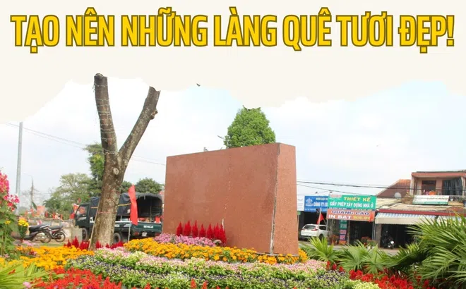 Đà Nẵng: Xây dựng nông thôn mới kiểu mẫu ở Hoà Vang tạo nên những làng quê tươi đẹp!