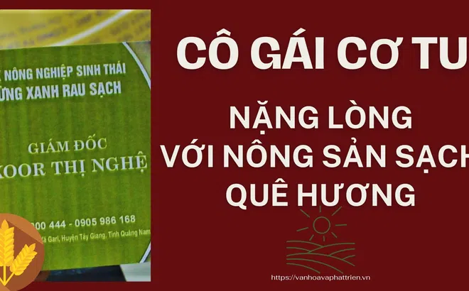 Cô gái Cơ Tu nặng lòng với nông sản sạch  quê hương