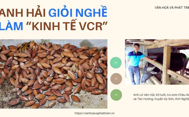 Nghệ An: Anh Hải giỏi nghề làm “kinh tế VCR”
