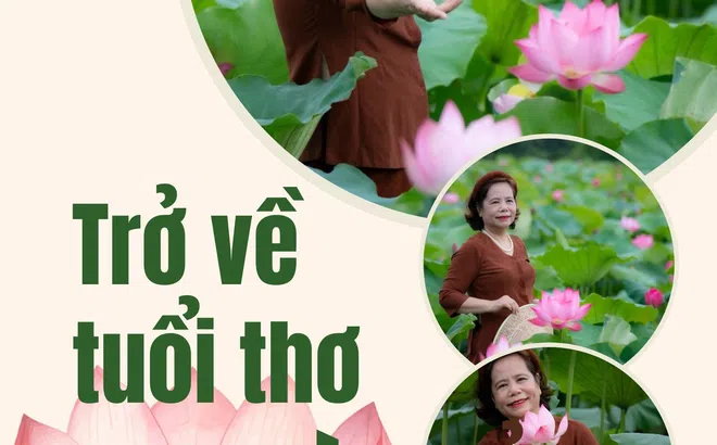 Trở về tuổi thơ qua mùa sen nở