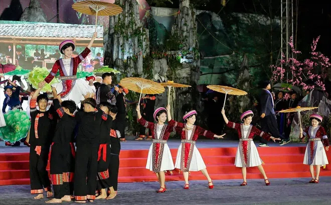 Tuyên Quang: Lễ hội Hoa Tam giác mạch 2026 sẽ khai mạc tối 25/10 tại Đồng Văn