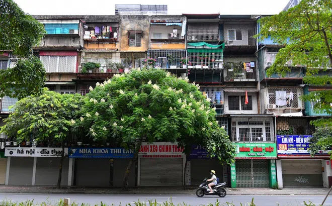 Hà Nội “sống chậm” trong những ngày giãn cách