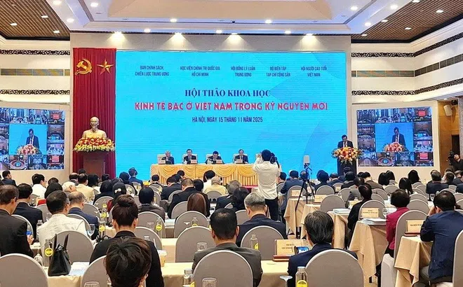 KINH TẾ BẠC – Từ thách thức nhân khẩu học đến cơ hội phát triển