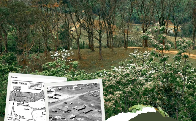 Hoa trẩu lại nở trên Khe Sanh thanh bình